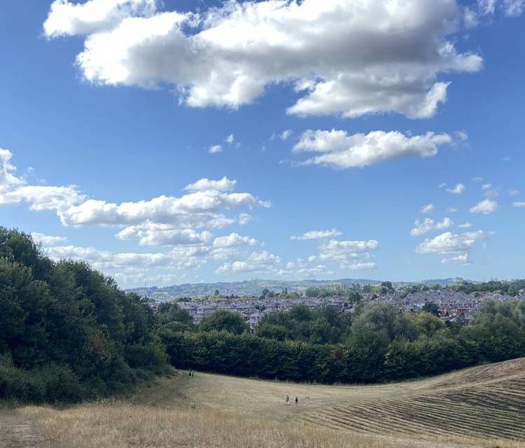 Preview of Ludwell Butterfly Cut-off Trail