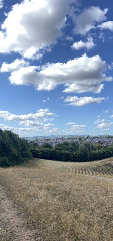 Preview of Ludwell Butterfly Cut-off Trail