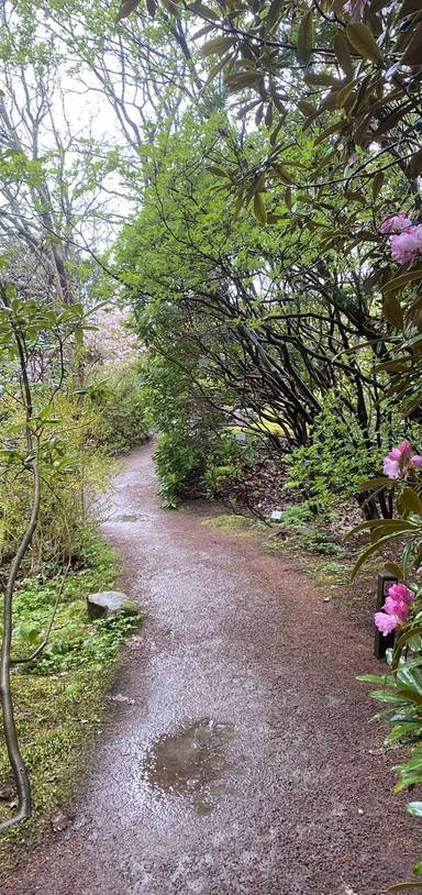 Preview of Upptäck världen på botaniska 🌺