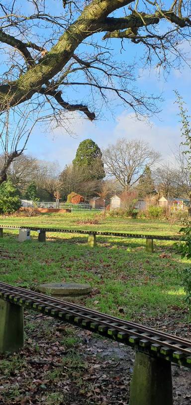 Preview of Chingford Woods, paths, views