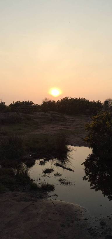 Preview of Thurstaston walk