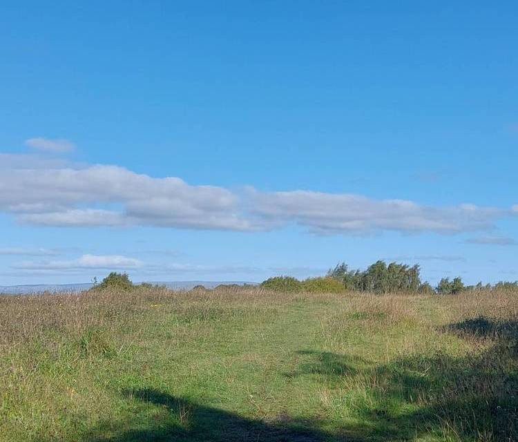 Preview of DL Birthplace to Priory Bing