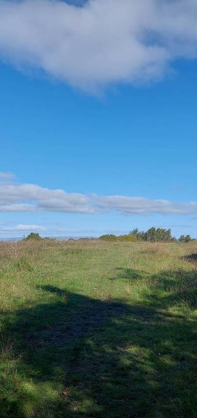 Preview of DL Birthplace to Priory Bing