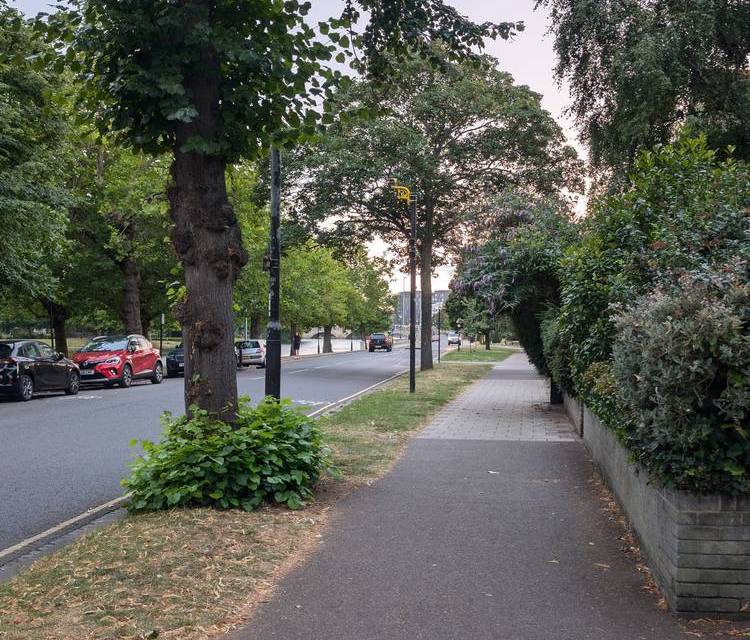 Preview of Russell Park to the Swan Hotel