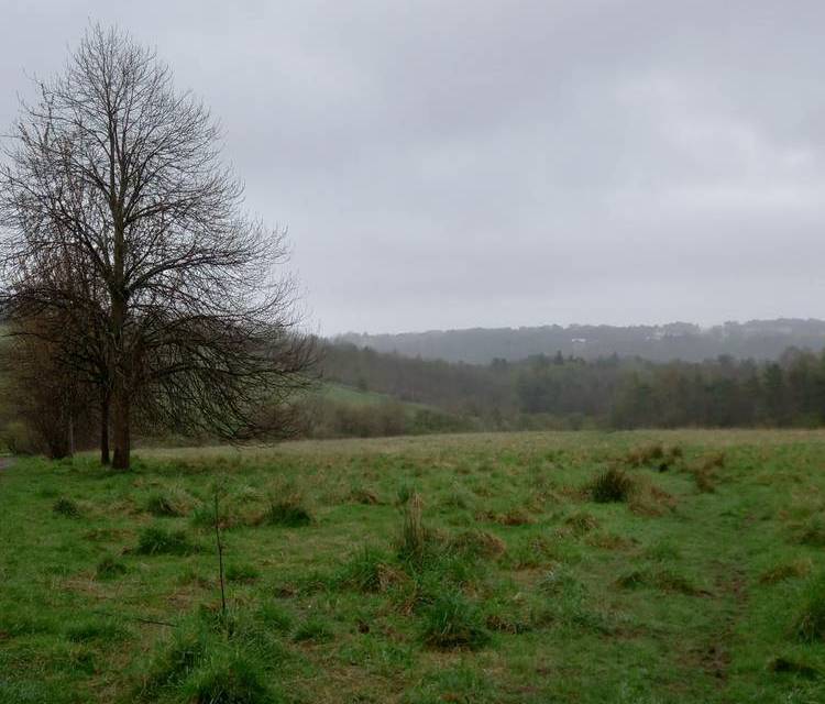 Preview of Cumbernauld Park Circular