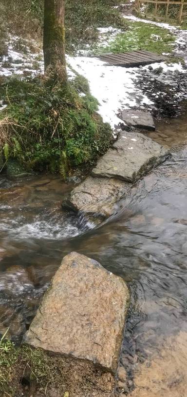 Preview of Colby Woodland stream-side walk