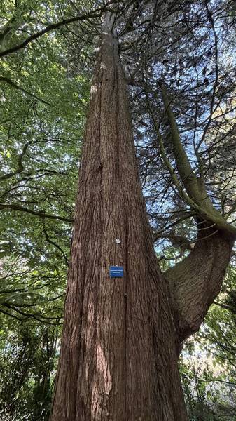 Preview of Arrowe Country Park Circular Walk