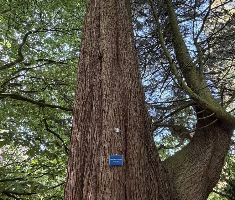 Preview of Arrowe Country Park Circular Walk