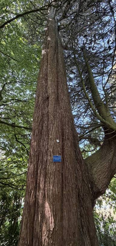 Preview of Arrowe Country Park Circular Walk
