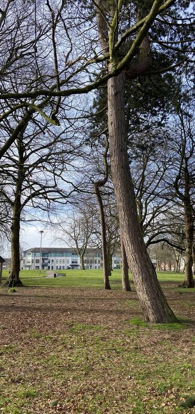 Preview of Chamberlain Gardens Park Trail