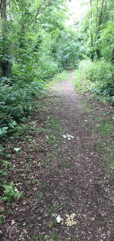 Preview of Horniman Nature Trail