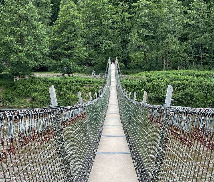 Preview of Bird spotting to Biblins Bridge