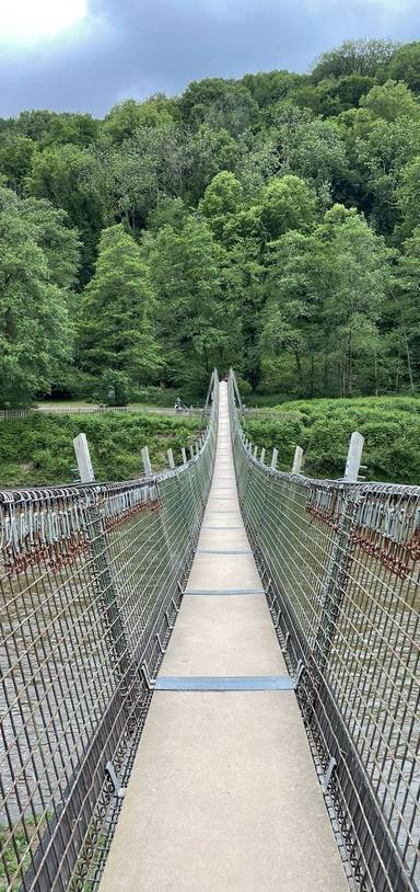 Preview of Bird spotting to Biblins Bridge