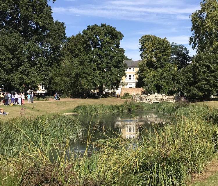 Preview of Nature healing in Ealing