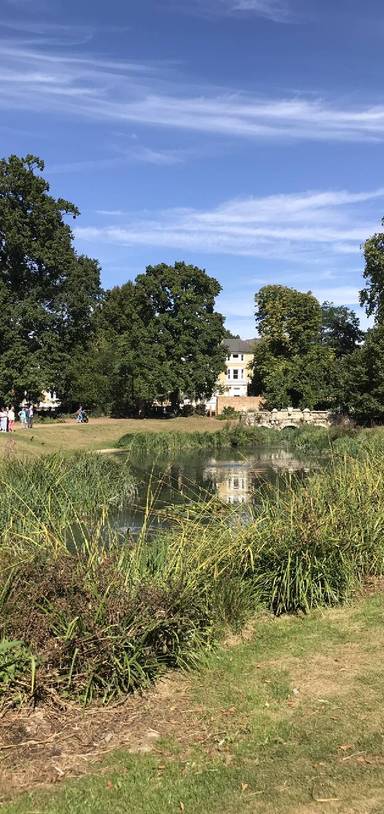 Preview of Nature healing in Ealing