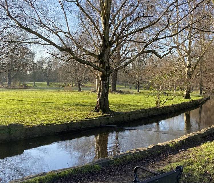 Preview of Wandle Trail Challenge - Full Route