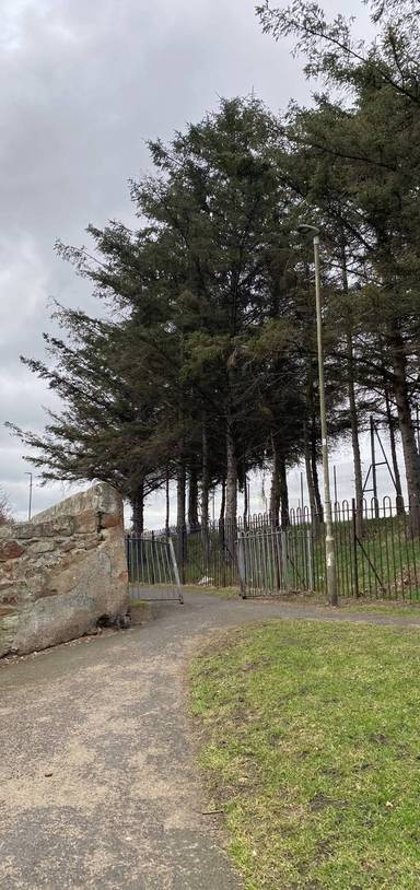 Preview of The Preston Tower Primary Walk