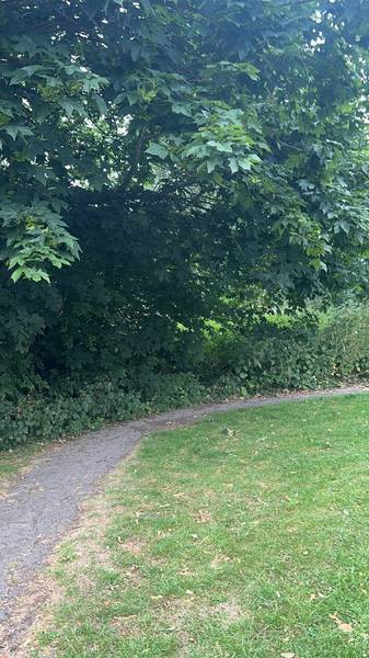 Preview of Library and Community Woodland
