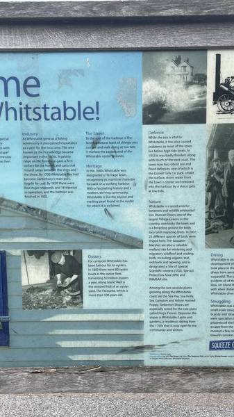 Preview of The Whitstable Walk