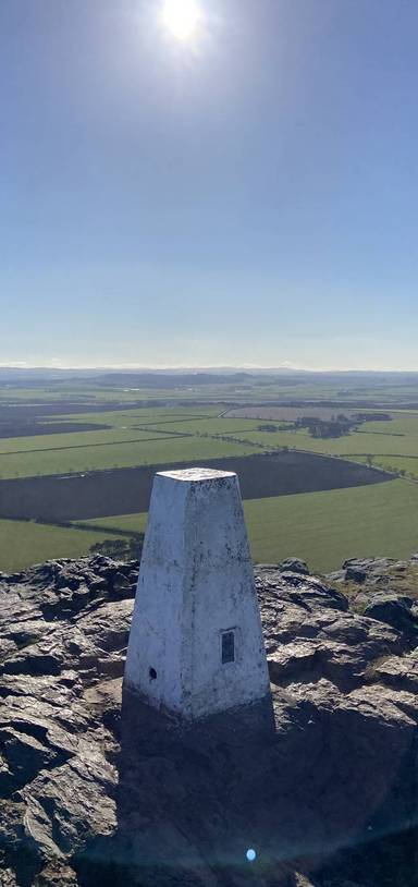 Preview of Scramble Up The Law