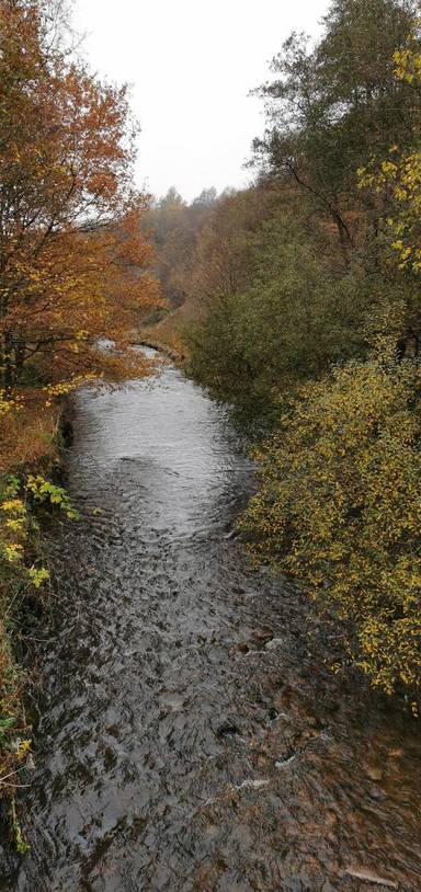 Preview of Seven Acres Country Park