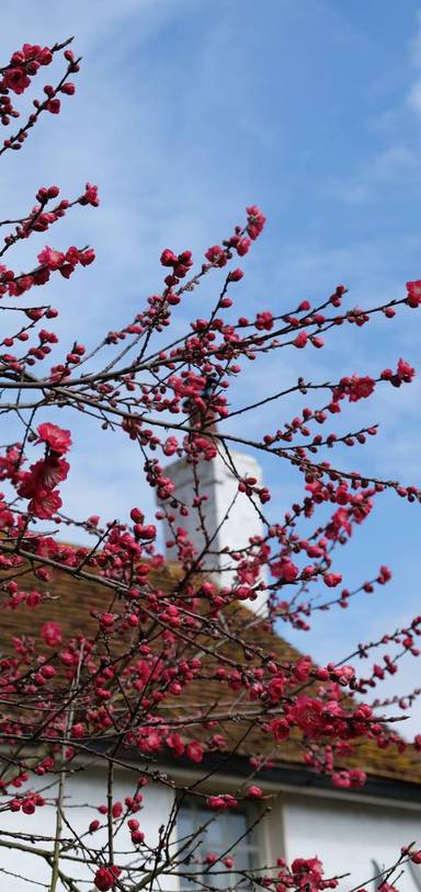 Preview of Rochford Circular Walk 