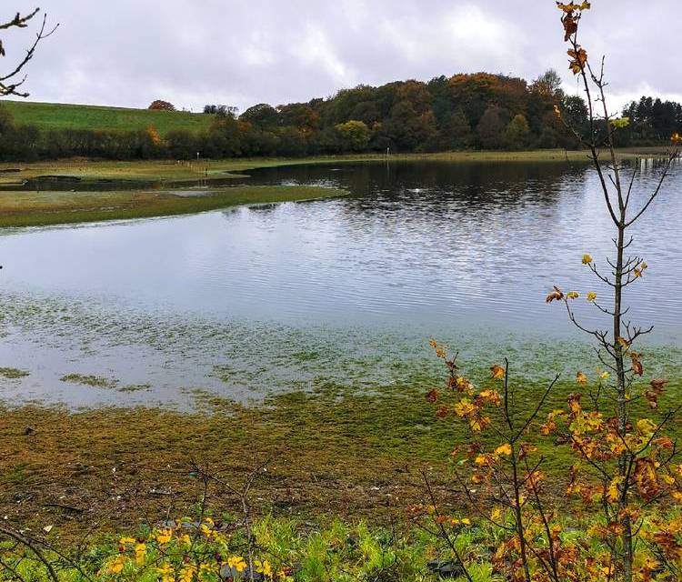Preview of Hollingworth Lake Step-Free Walk