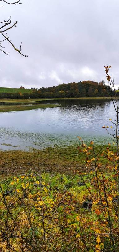 Preview of Hollingworth Lake Step-Free Walk
