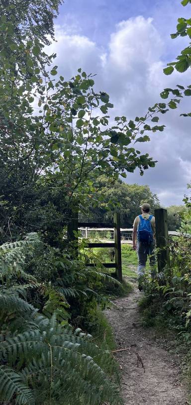 Preview of The Ashdown Forest Zipcar Trail