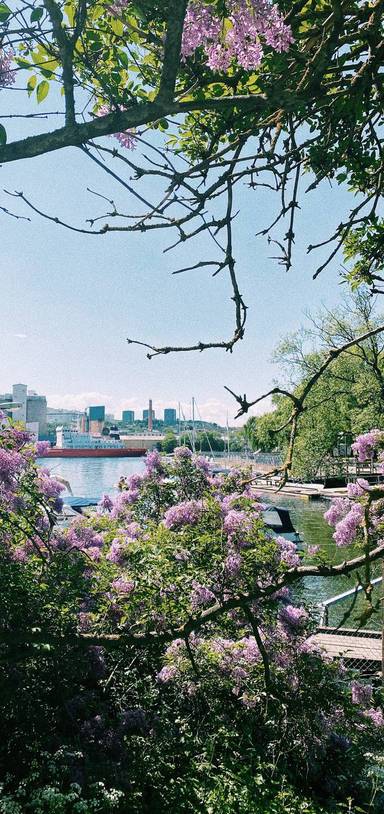 Preview of Helgdagsutflykt på Södermalm