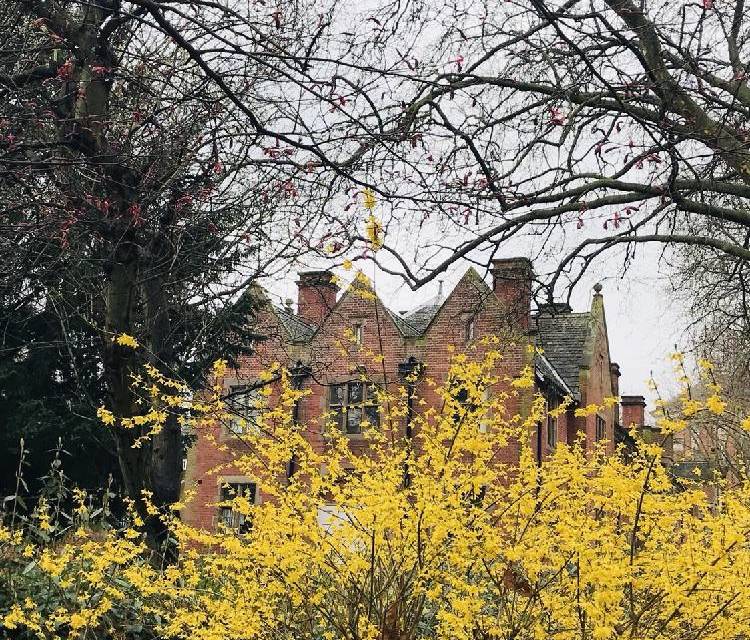 Preview of Leicester Old Town