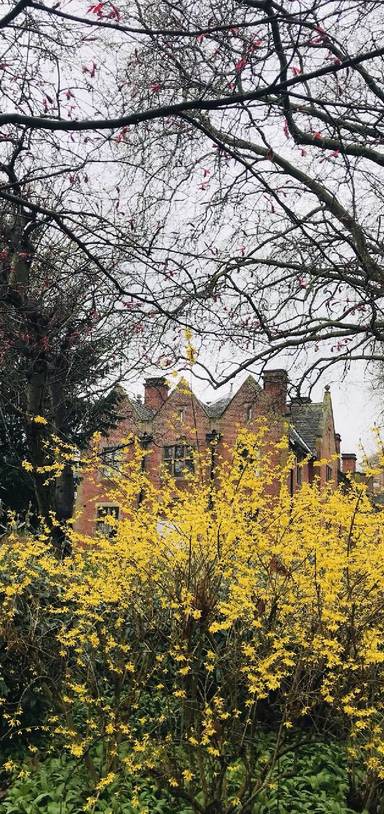 Preview of Leicester Old Town