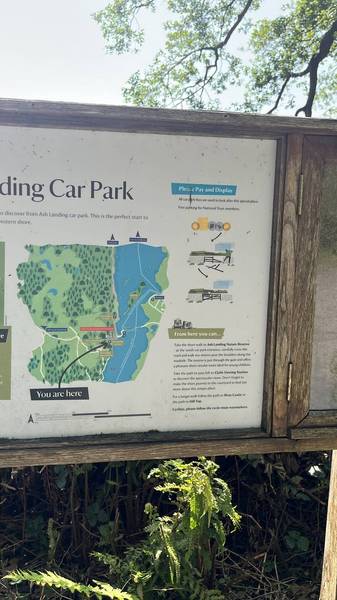 Preview of Ash landing to Wray castle walk