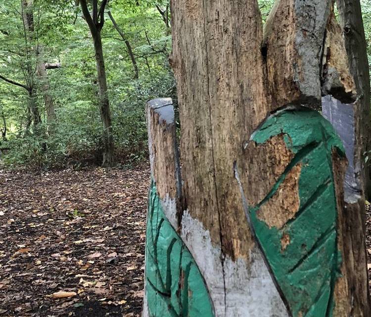 Preview of Green Chain Walk Section 9A