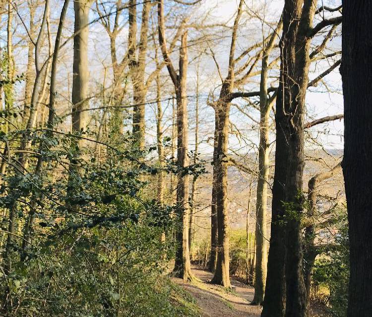 Preview of Sheffield Round Walk Section 4