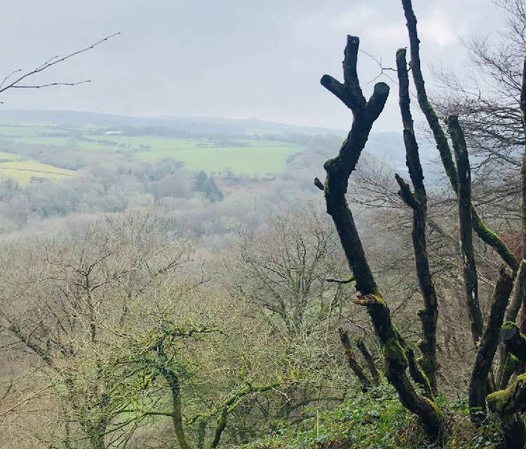 Preview of Cwm Gwaun, Pontfaen Wood loop