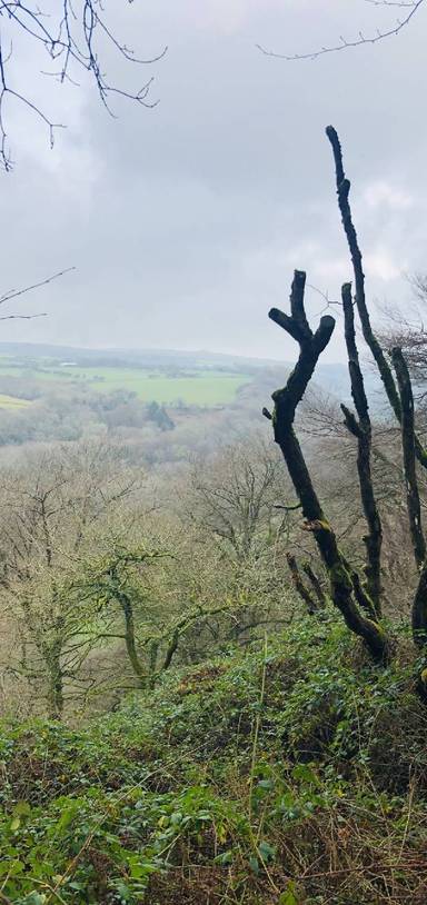 Preview of Cwm Gwaun, Pontfaen Wood loop 