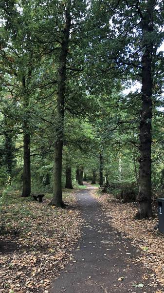 Preview of Downham Woodland Walk