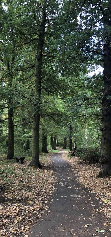 Preview of Downham Woodland Walk