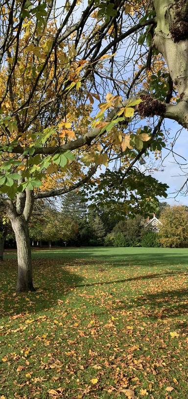 Preview of Bedford Park Walk