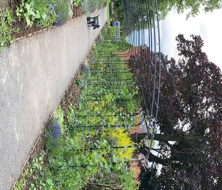 Preview of Woodfield Circular