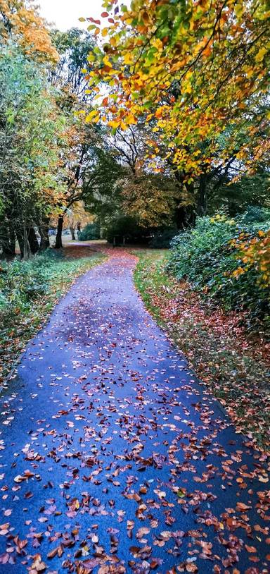 Preview of Moss Bank accessible walk