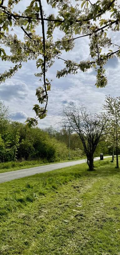 Preview of Swindon’s Eastern Flyer