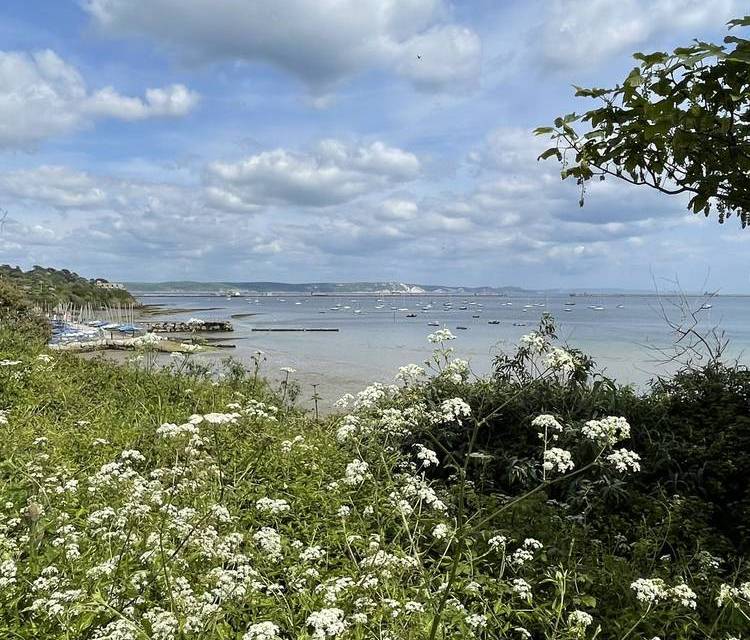 Preview of Ferrybridge to Castle Cove Cruise