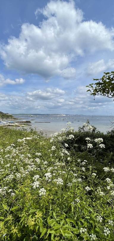 Preview of Ferrybridge to Castle Cove Cruise