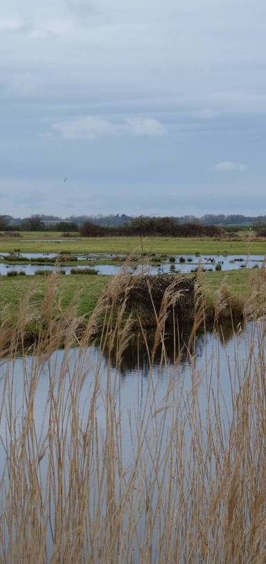 Preview of Cudmore Grove Country Park