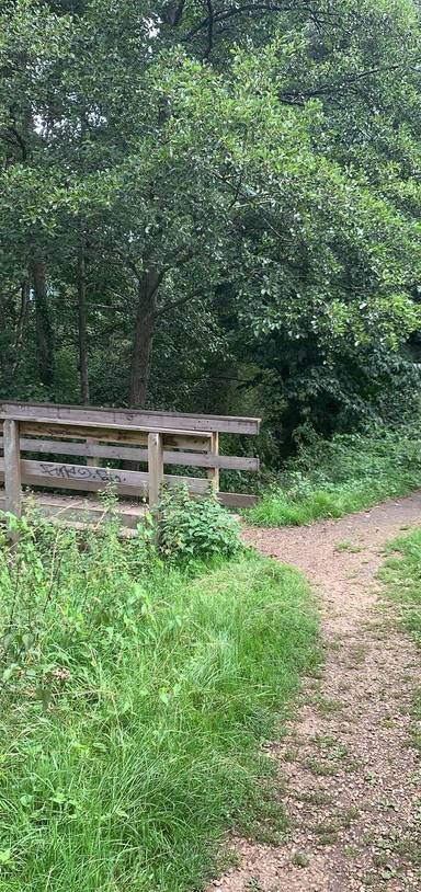 Preview of Straight Mile circular