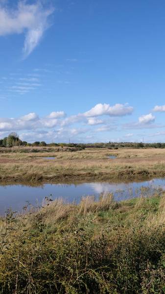 Preview of Woodham Fen to River Crouch