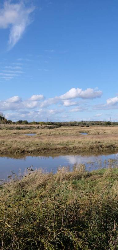 Preview of Woodham Fen to River Crouch
