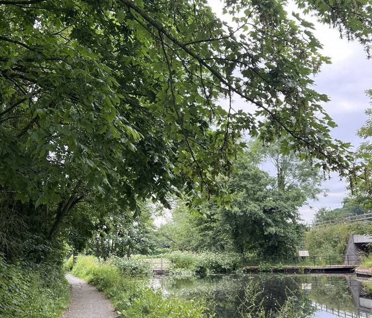 Preview of Welshpool Wildlife Walk - Step Free